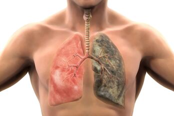 Plus de 200 composés nocifs empoisonnent le corps à chaque inhalation. 